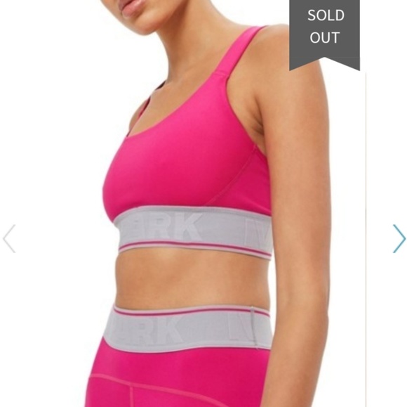 IVY PARK Other - 🚫 SOLD 🚫 {Ivy Park} Logo Mesh Inset Sports Bra